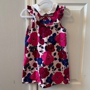 Janie and Jack Pink and Blue Floral Ruffled Collar Dress